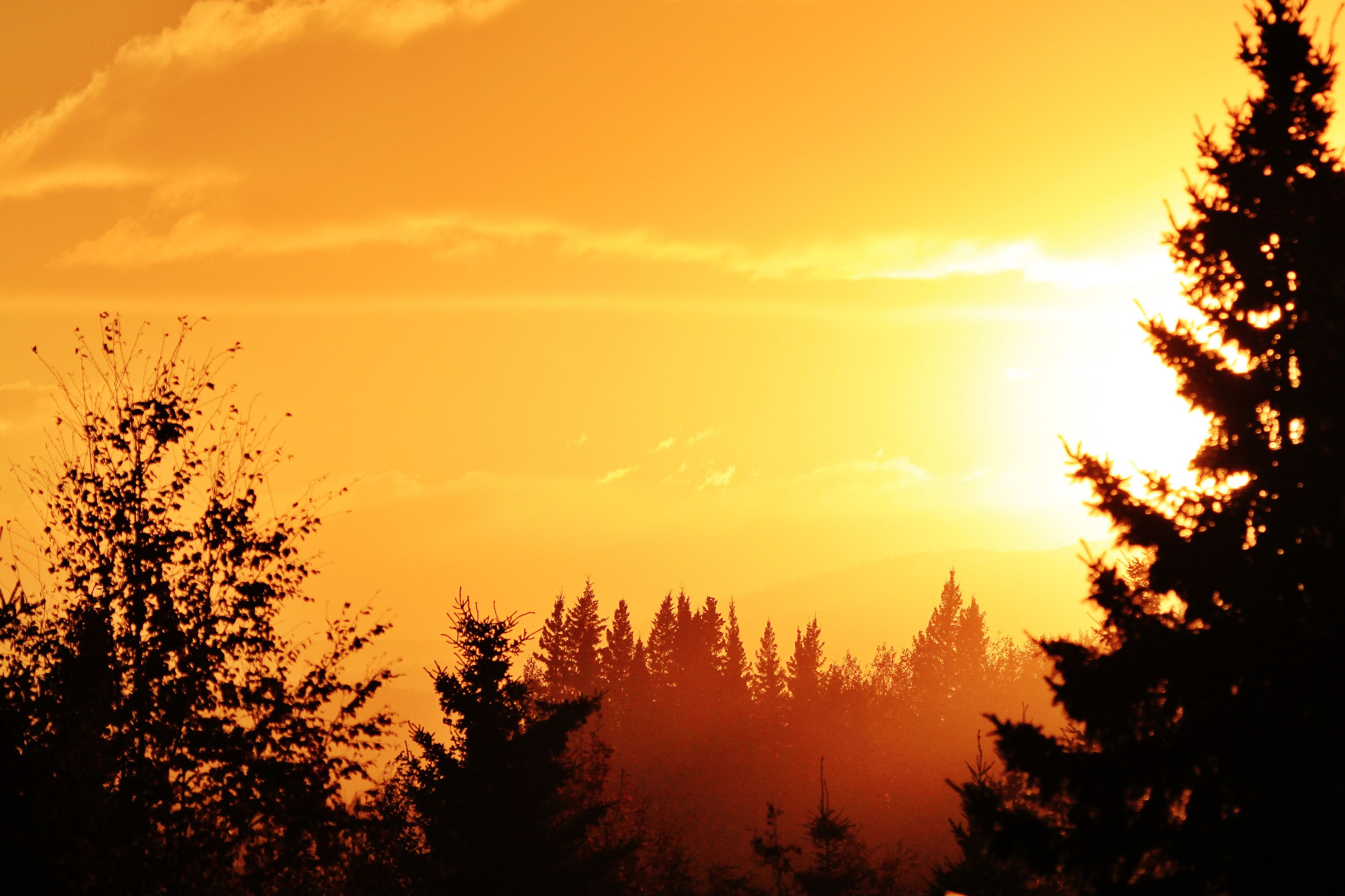 Golden Sunset Seen From The University Of Alaska Fairbanks Fairbanks North Star Borough Alaska