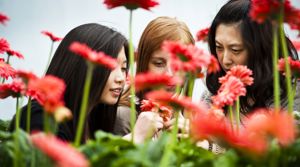 PHOTO: Veikko Somerpuro