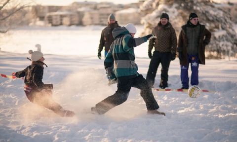 University of Lapland profile 2