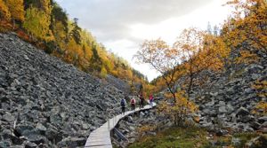 PHOTO: Ilona Mettiäinen