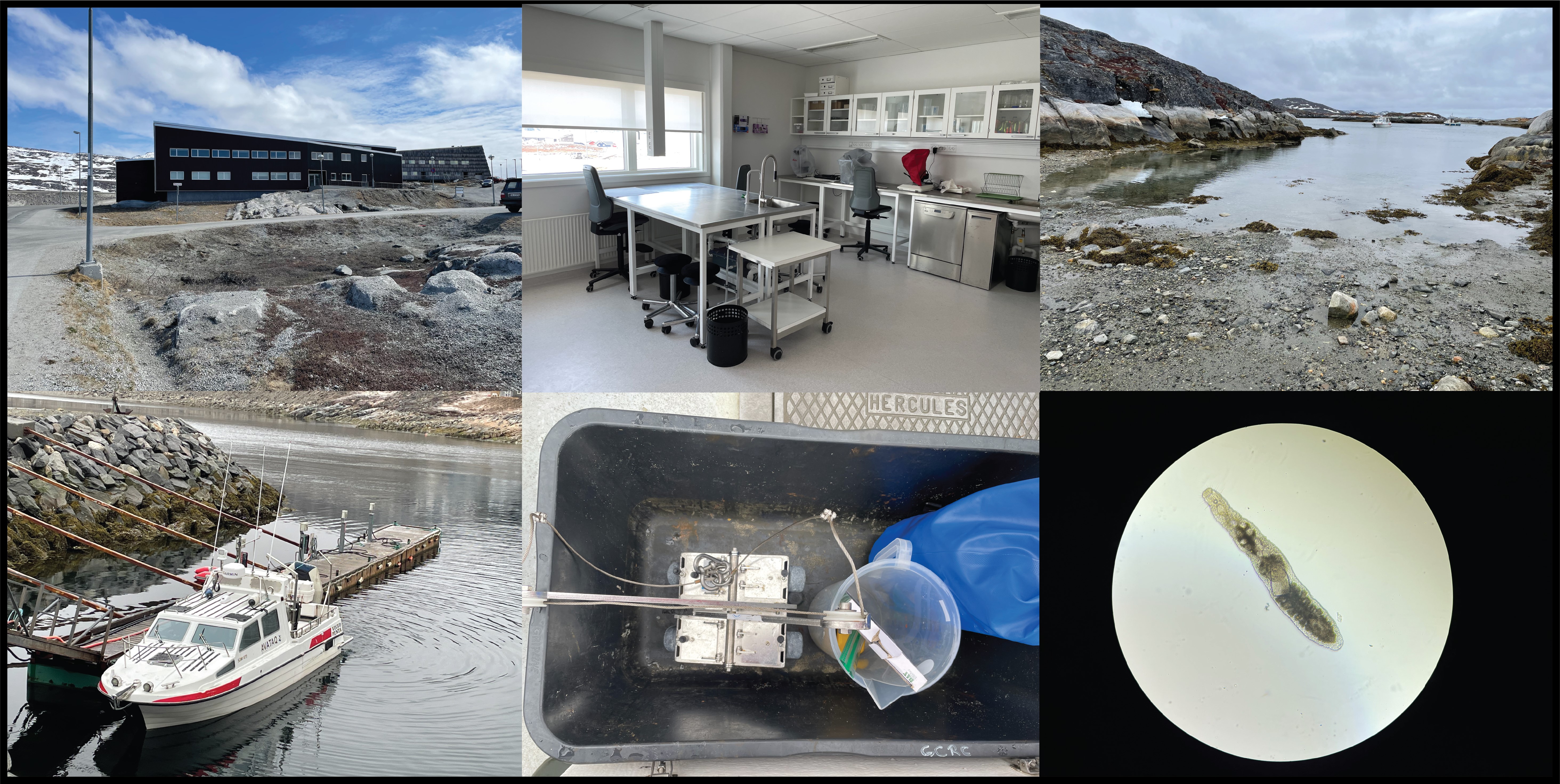 Arctic Marine Biodiversity Photo News