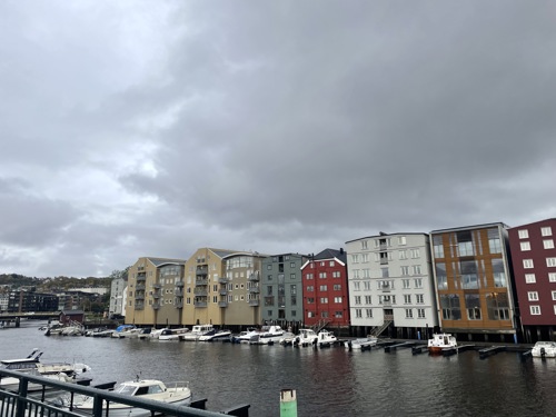 Photo by Shannon Klein