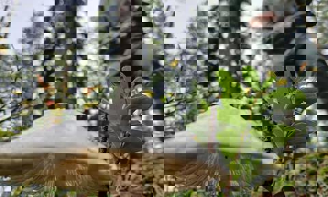 Crafting Connections 1 Lundstedt Rylander