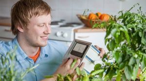 Growing Your Own Chili in the City