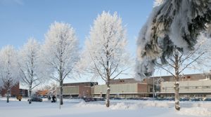 Joensuu campus in winter