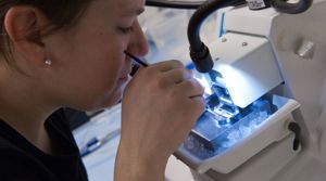 Molecular research at UEF  PHOTO: Raija Törrönen