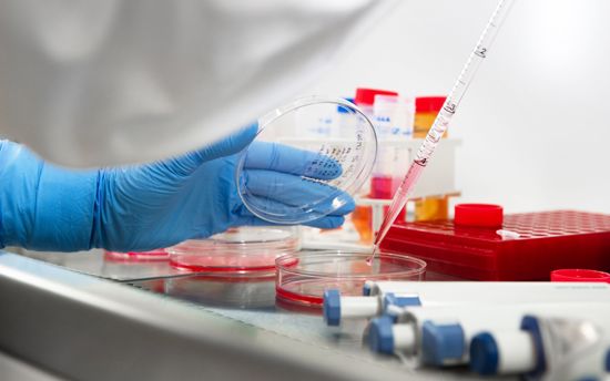 Biocenter at UEF, Kuopio campus