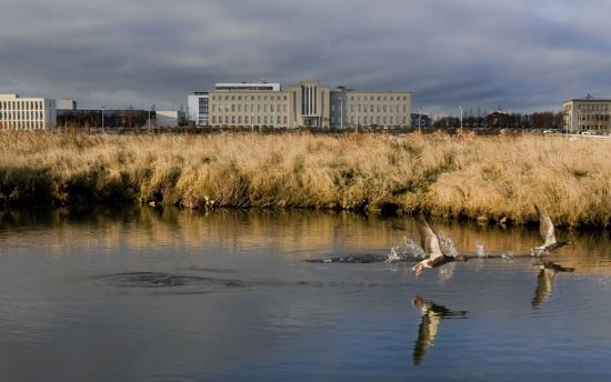 Adalbygging Gaesir Vatnsmyri