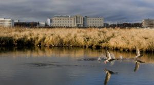 Adalbygging Gaesir Vatnsmyri  PHOTO: Kristinn Ingvarsson