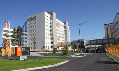 Siberian Federal University profile picture