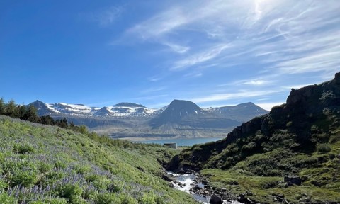 North2north Meeri Jalonen