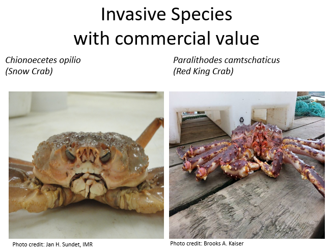 PHOTO: Thematic Network on Ocean Food Systems