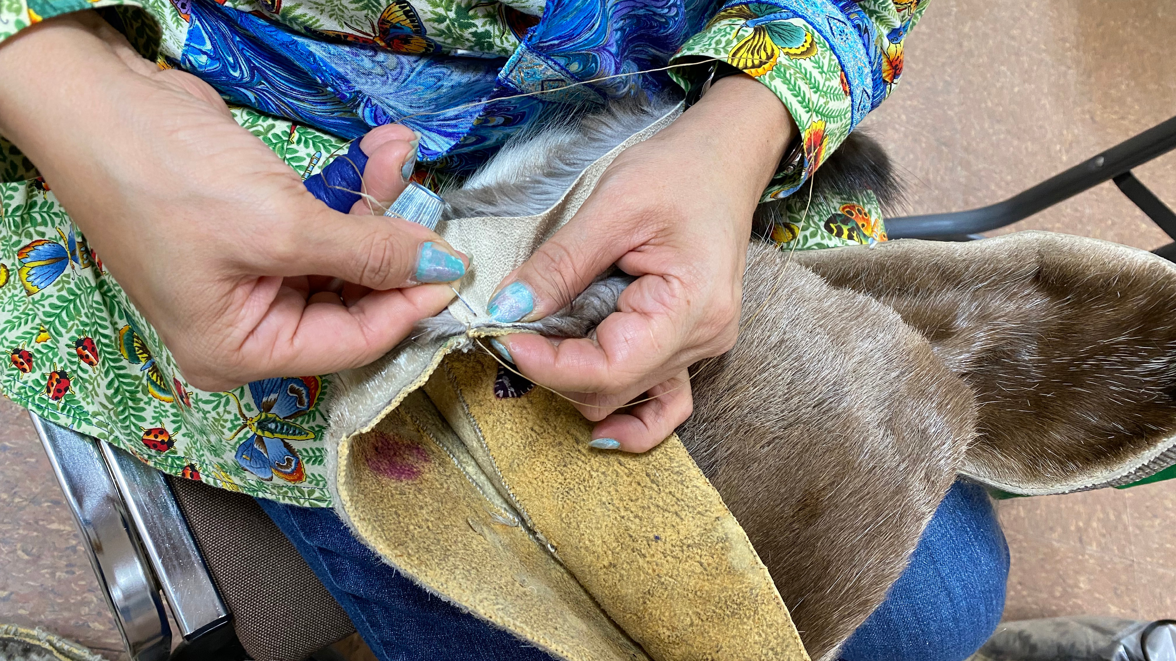 Pedagogy In The Circumpolar North SV 2026