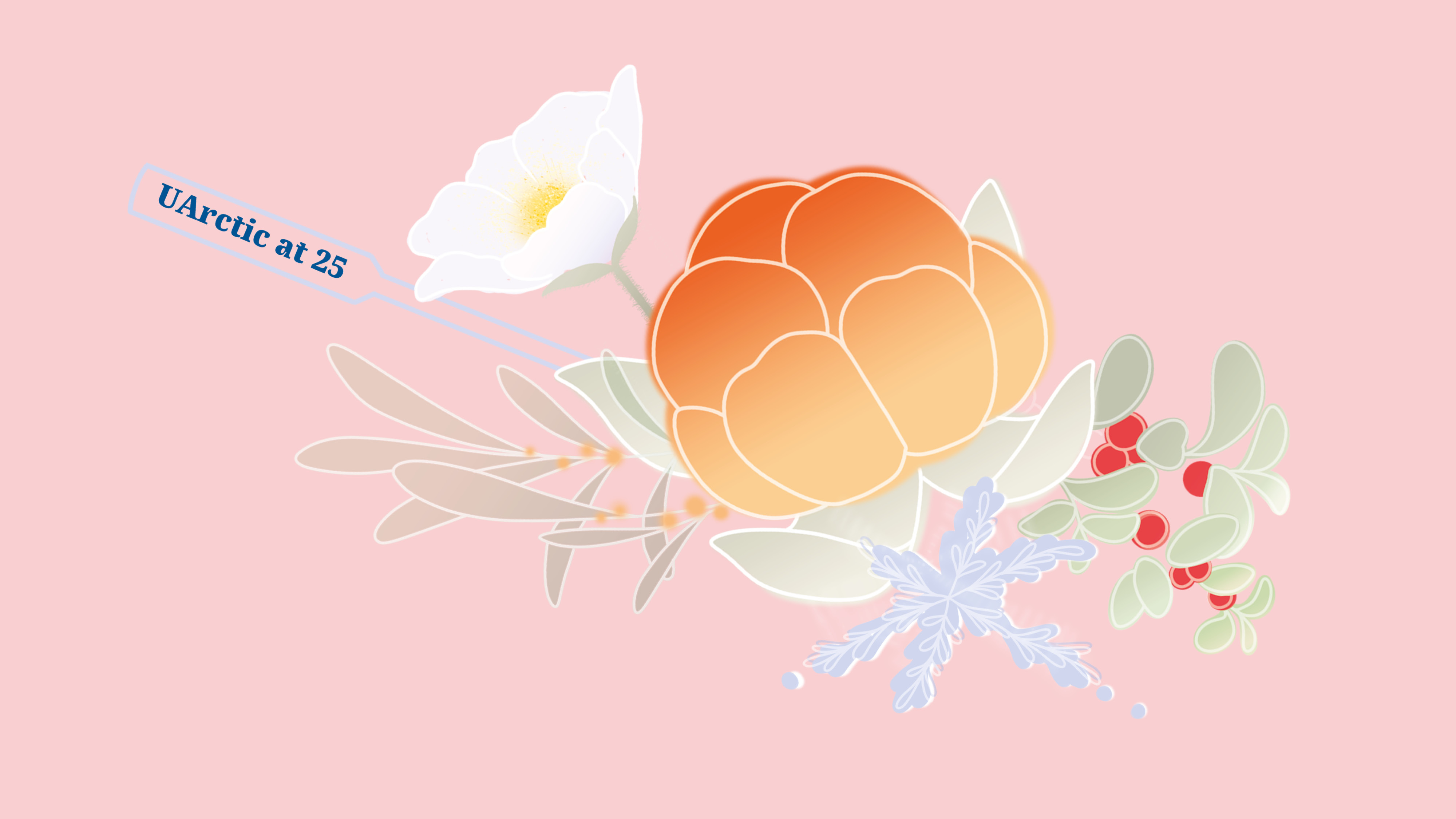 25Birthday Uarctic Logo Pink