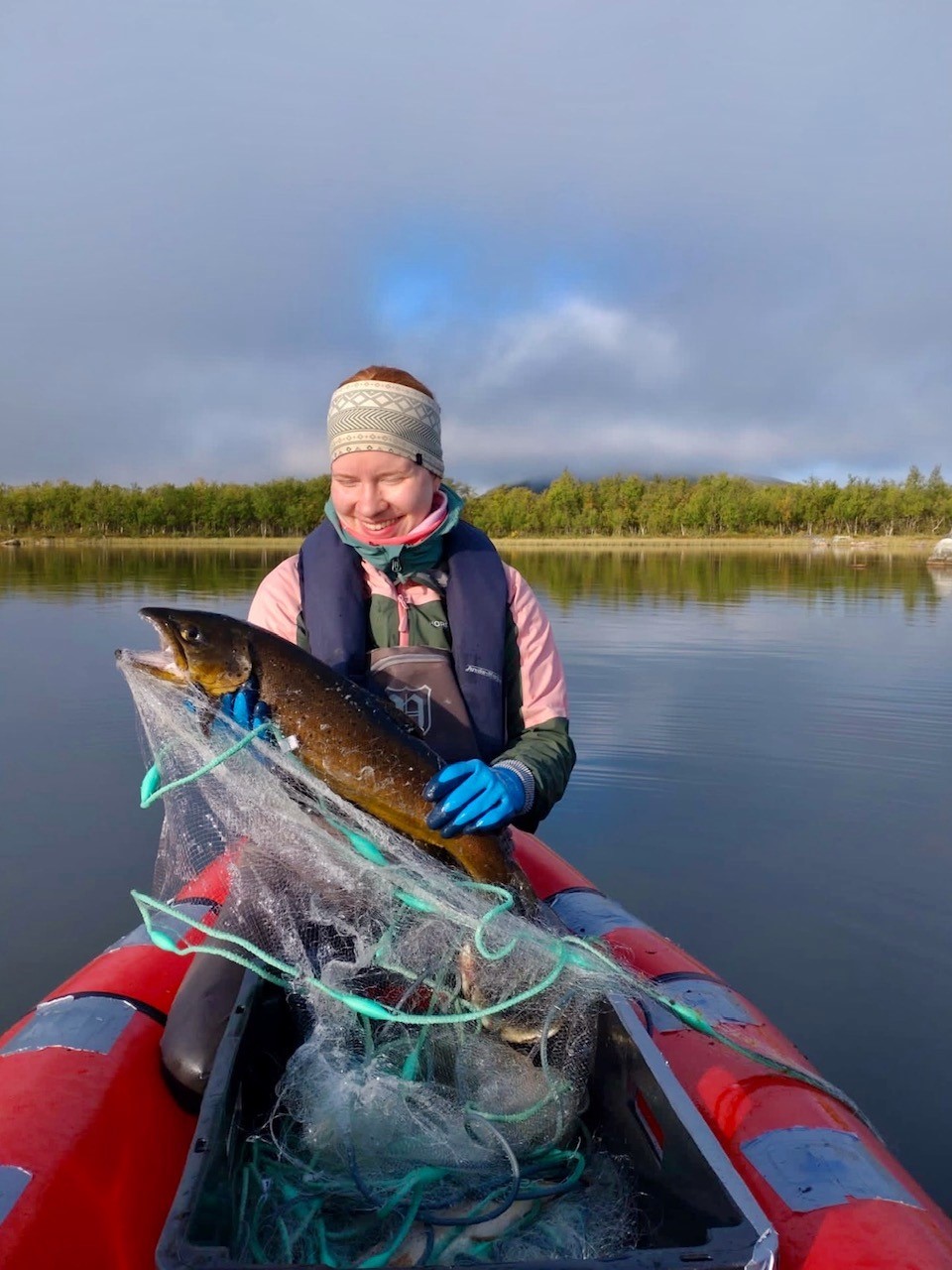 Henna Kangosjärvi Trout