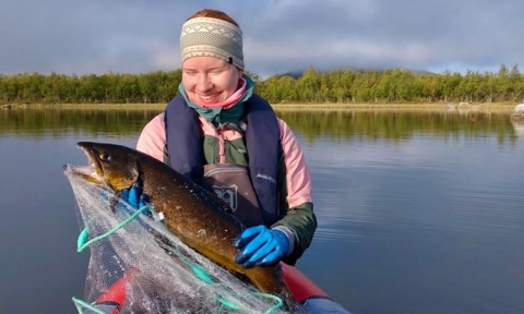 Henna Kangosjärvi Trout