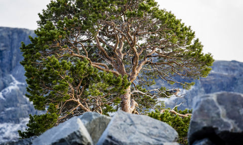 Satihaure Mm Okt13 142 Fullres CJUTSI