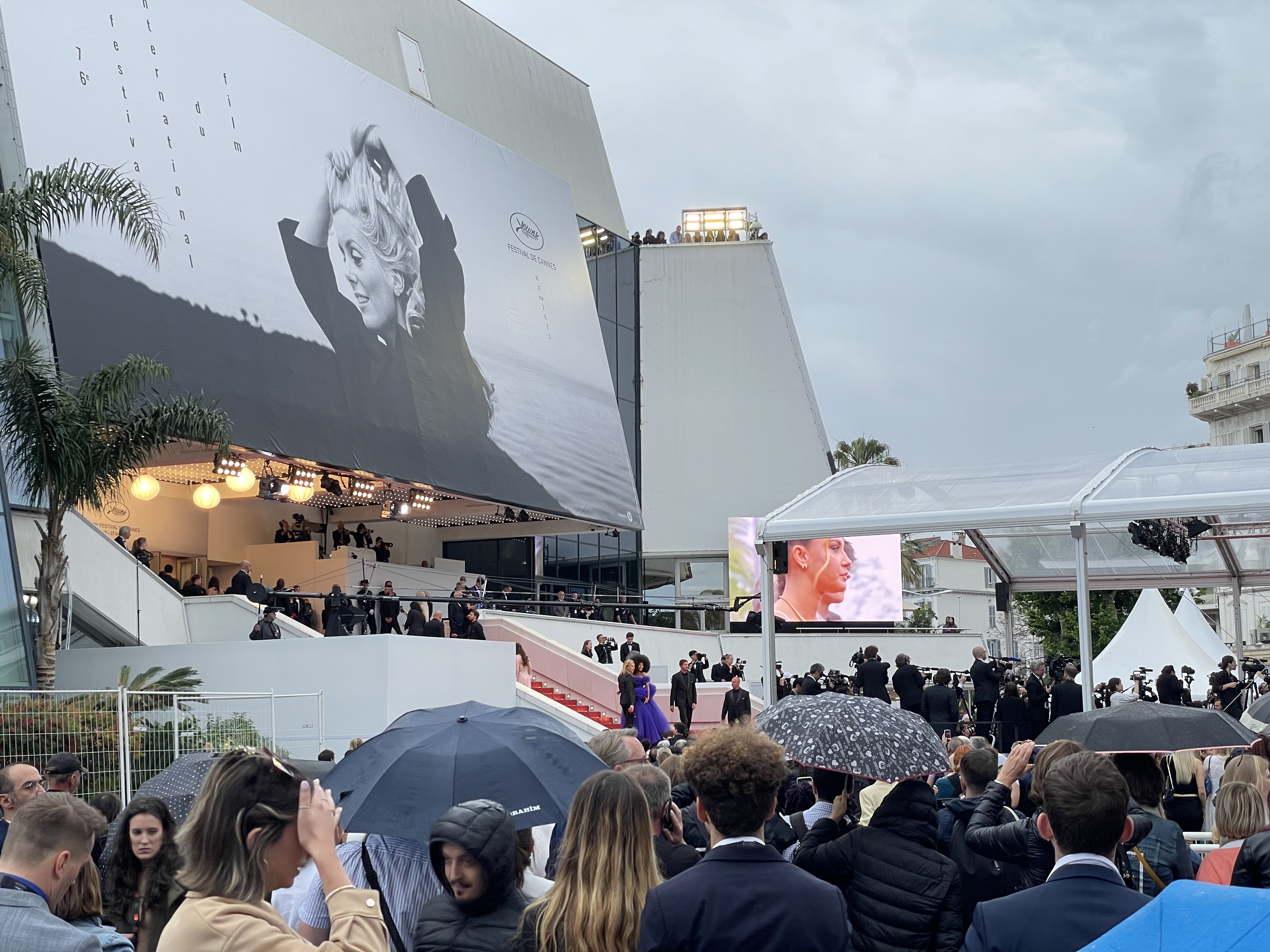 TN Indigenous Film Cannes