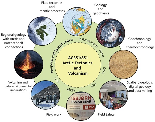 Arctic Tectonics And Volcanism