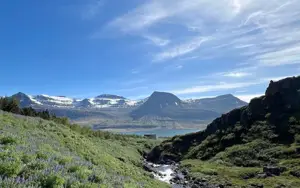 Photo of Meeri Jalonen