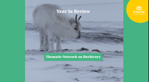 Herbivory Year In Review News Banner