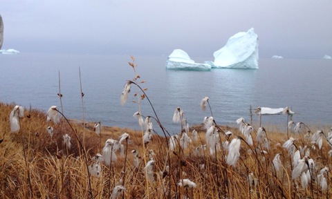 Kæruld Og Isbjerge Foto JPEG