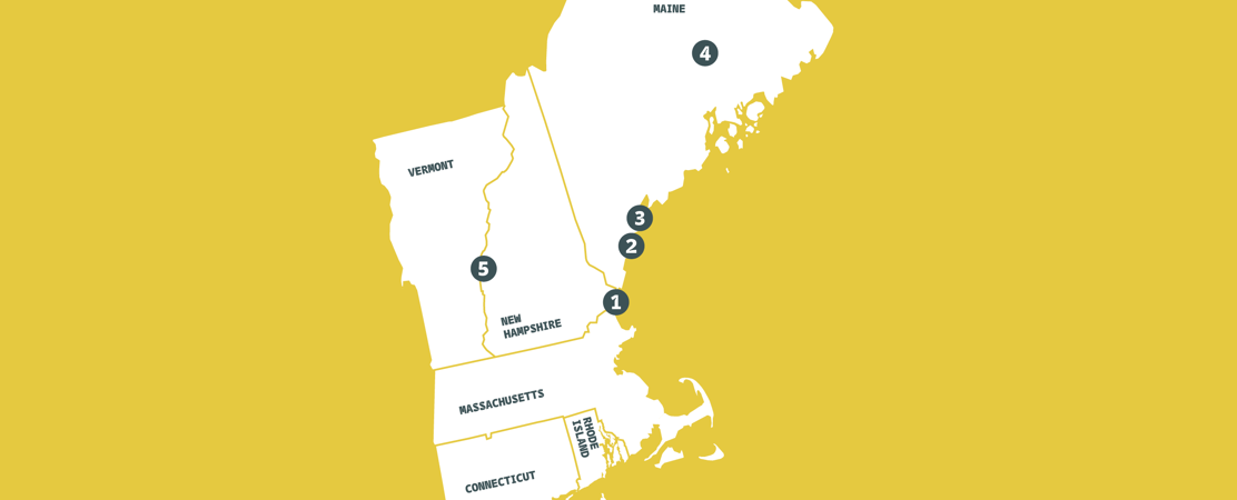 New England Arctic Network