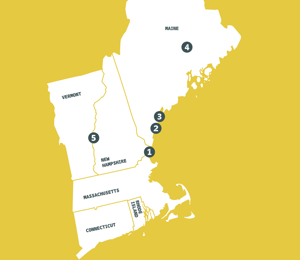 New England Arctic Network