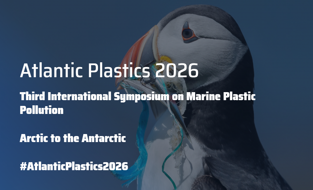 Screenshot 2026 01 13 154051