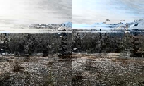 Pexels Maximilian Ruther 199439233 11546830