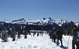 Photo of Ilkka Meriläinen