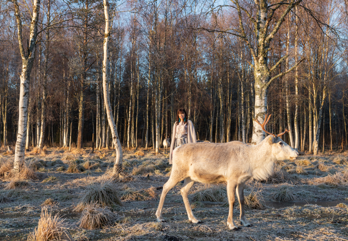 A Reindeer Herder
