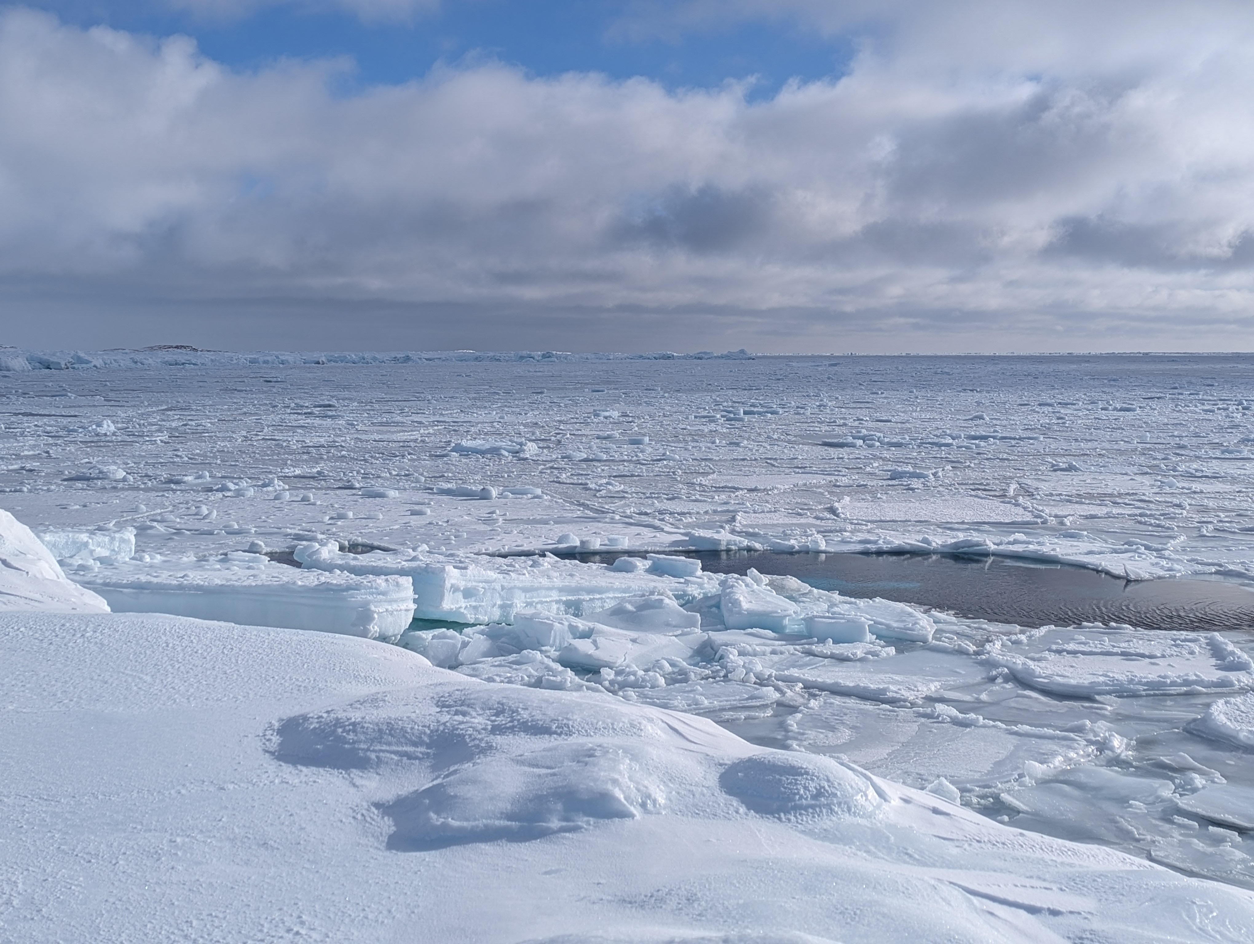 Sea Ice, Kinngait, March 2025. 