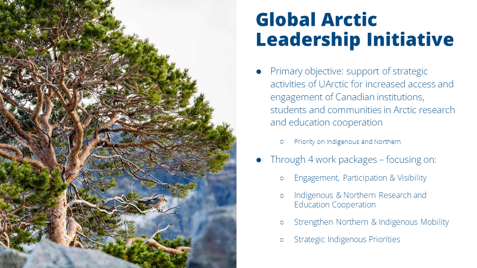 Meet Uarctic Canadian Member Information Session Nov 17 2022 (4)