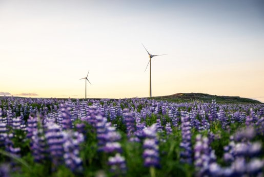 IGEC Conference Windmill Banner