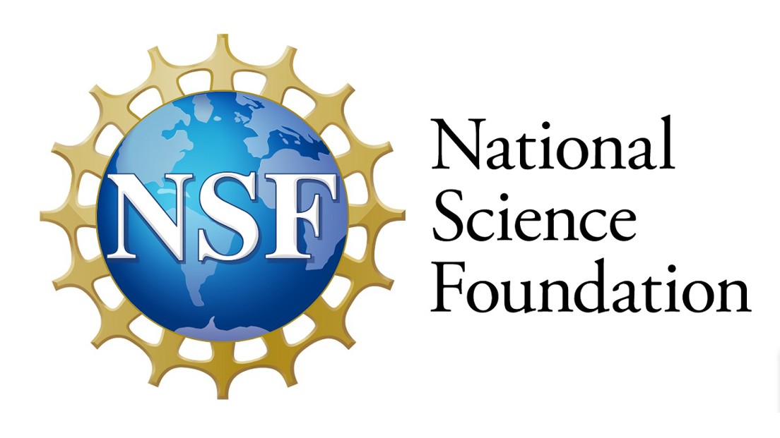 Position Available: Science Analyst, U.S. National Science Foundation
