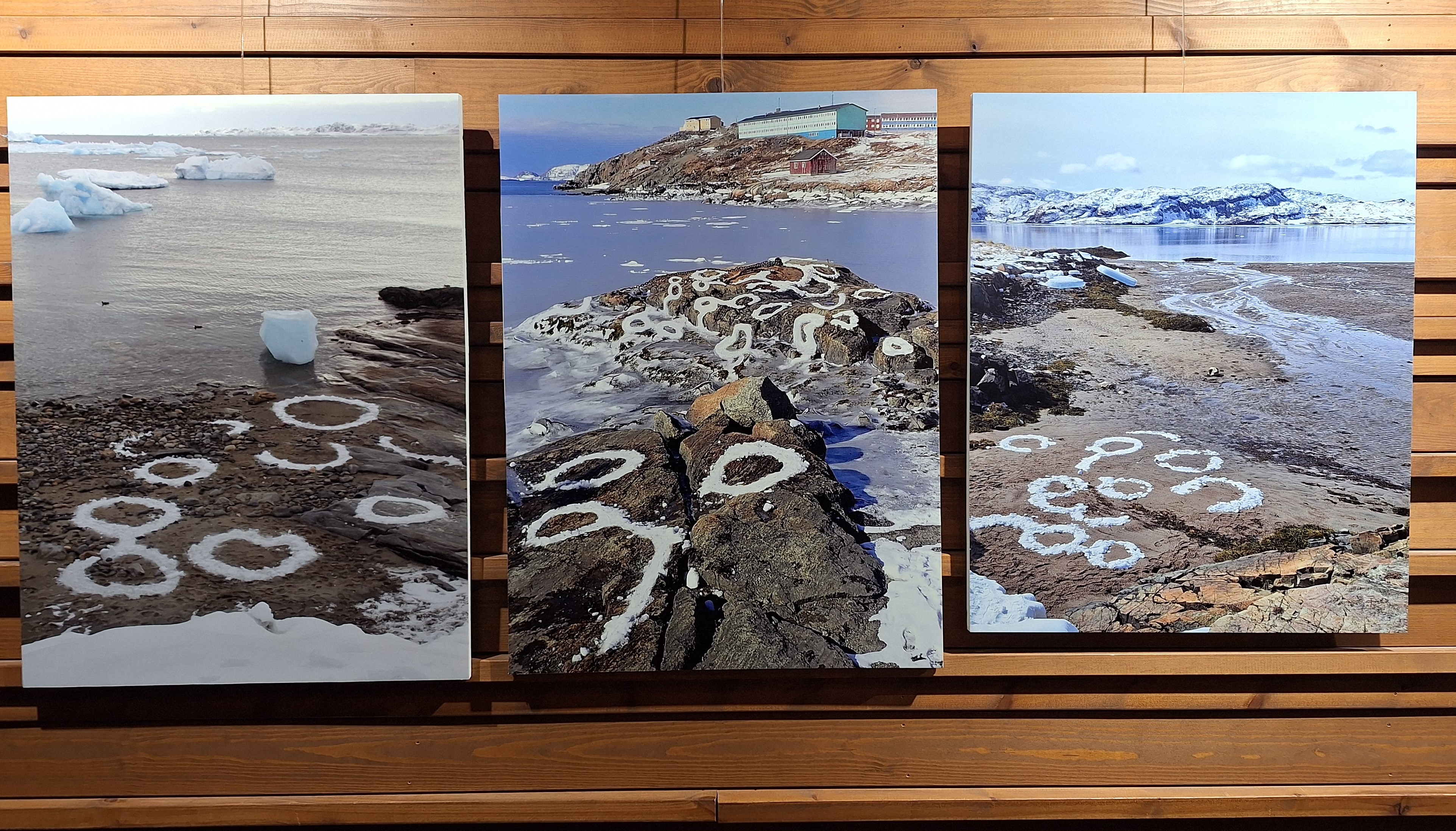 アート・デザイン・音楽 Towards an Ecology of Tectonics Parallel Norths: Shared Ecocultural Entanglements