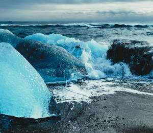 Navigating The New Normal SV 2026