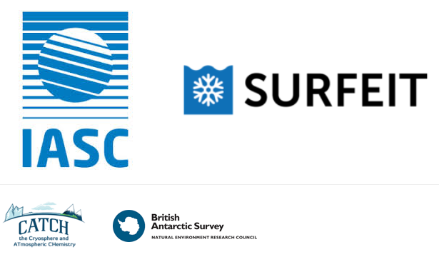 IASC SURFEIT Conference Logos