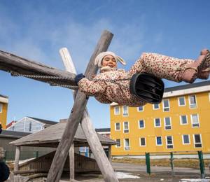 TN Health and Well-being in the Arctic