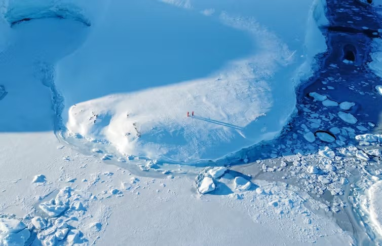 Oleksandr Matsibura Shutterstock