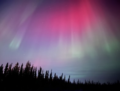 N2n Ruotsalainen (4)