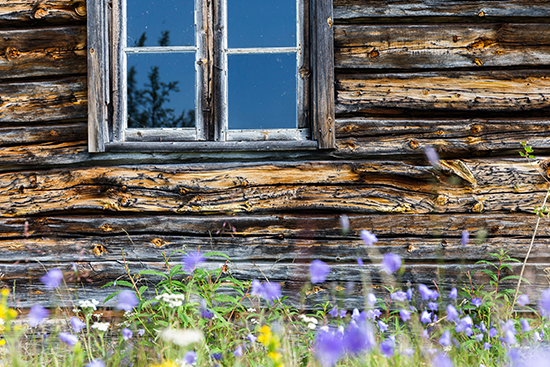 Kide 1 2023 Saamentutkimus 01