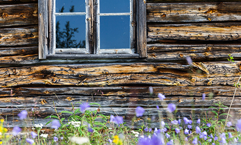 Kide 1 2023 Saamentutkimus 01