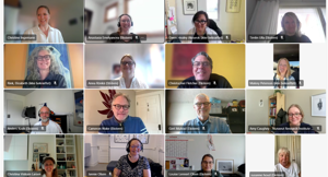 Bi-annual online meeting for TNHW members, 2025. 