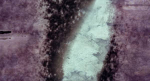 Artwork by Lena Gudd