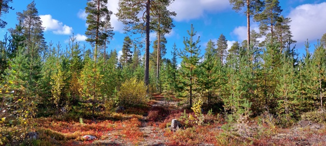 TN Northern Tourism news 3