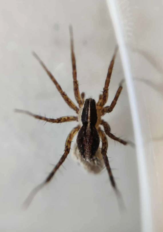 Testimonial Nynne Hove Olsen Alexander Paick Moelbach Nielsen