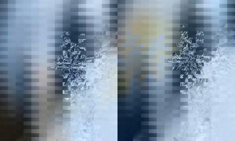 Photo By Aaron Burden On Unsplash