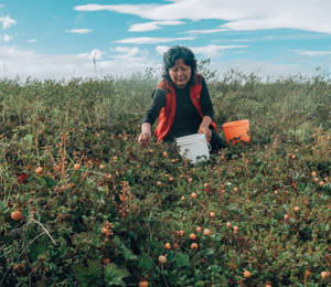 The Land We Are Taking Care Is Changing Project SV 2026